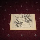 1952 GKN Auto Bolts & Nuts ad from the UK