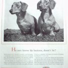 1957 National Board of Fire Underwriters Insurance ad