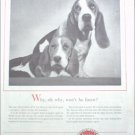 1957 National Board of Fire Underwriters Insurance ad