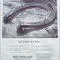 1952 New York Life Insurance Company ad #3