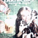 1960 Budweiser Beer ad #4