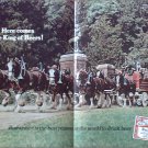 1966 Budweiser Beer Clydesdale ad