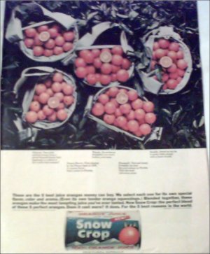 Snow Crop Orange Juice ad