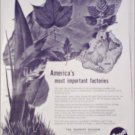 Barrett Division ad