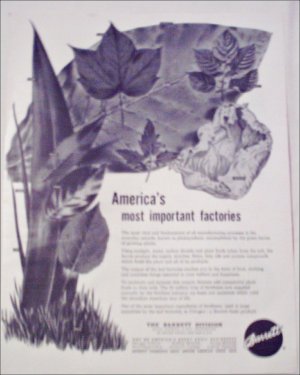 Barrett Division ad
