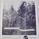 Barrett Division Fertilized ad