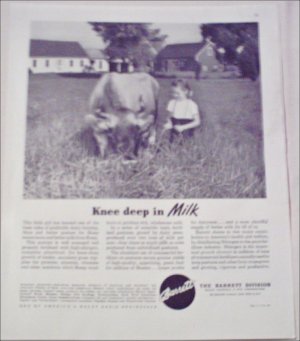 Barrett Division Milk ad