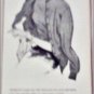 1956 Army & Navy Stores ad from Great Britain