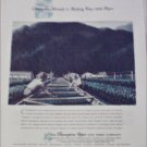 Champion Paper and Fibre Company 1956 Newspaper ad