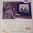 1960 Kodak Color Slides Flowers ad