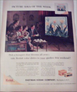 1960 Kodak Color Slides Flowers ad