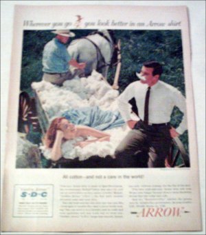 Arrow Golden Arrow S-D-C Shirt ad