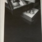 1965 Benson & Hedges Cigarette Oologists ad