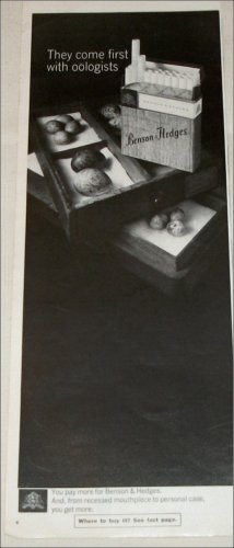 1965 Benson & Hedges Cigarette Oologists ad