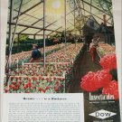 1948 Dow Chemical Beauty ad