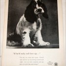 1956 Bell Telephone Puppy ad