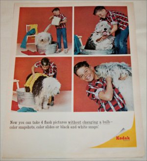 1965 Kodak Boy & Dog ad