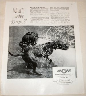1948 Hagan Corporation Water ad