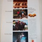 1983 Kodak Kodacolor VR 100, 200, 400, & 1000 Film ad