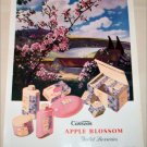 1952 Cussons Apple Blossom Toiletries ad from Great Britain