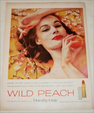 1959 Dorothy Gray Wild Peach Lipstick ad