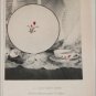 Franciscan Fine China ad