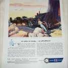 1946 National Blue Products ad