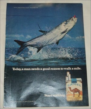 1971 Camel Cigarette Fish ad