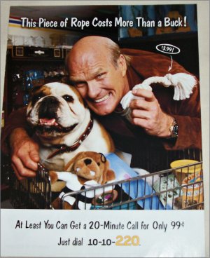 Telecom ad featuring Terry Bradshaw