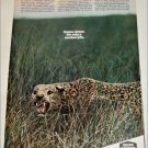 Union Carbide Modacrylic ad
