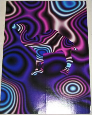1997 Camel Cigarette Contest Brochure