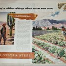 1937 United States Steel Cabbage ad