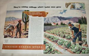 1937 United States Steel Cabbage ad