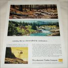 1959 Weyerhauser Timber Company Carelessness ad