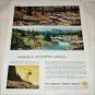 1959 Weyerhauser Timber Company Carelessness ad