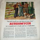 1952 Aureomycin ad
