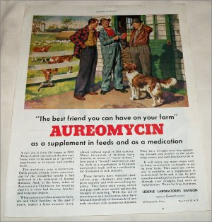 1952 Aureomycin ad