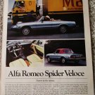 1981 Alfa Romeo Spider Veloce convertible car article