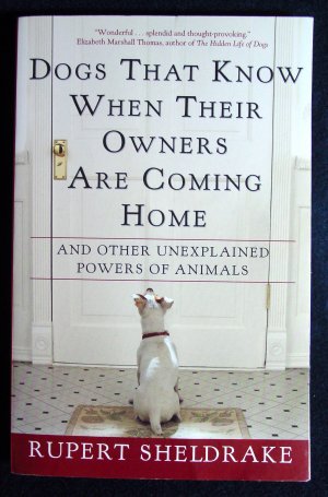 Dogs that know when their owners are coming home