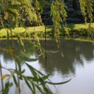 View of the Walo Pond in Colfax, Washington
