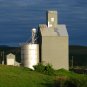 Grain bins at Garfield, Washington