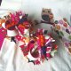 GYMBOREE Girls 4 4T