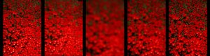 A Study In Red #2 (very limited edition)