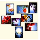 "Flowers" custom wall collage (8 framed pieces)