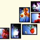 "Flowers" custom wall collage (6 framed pieces)