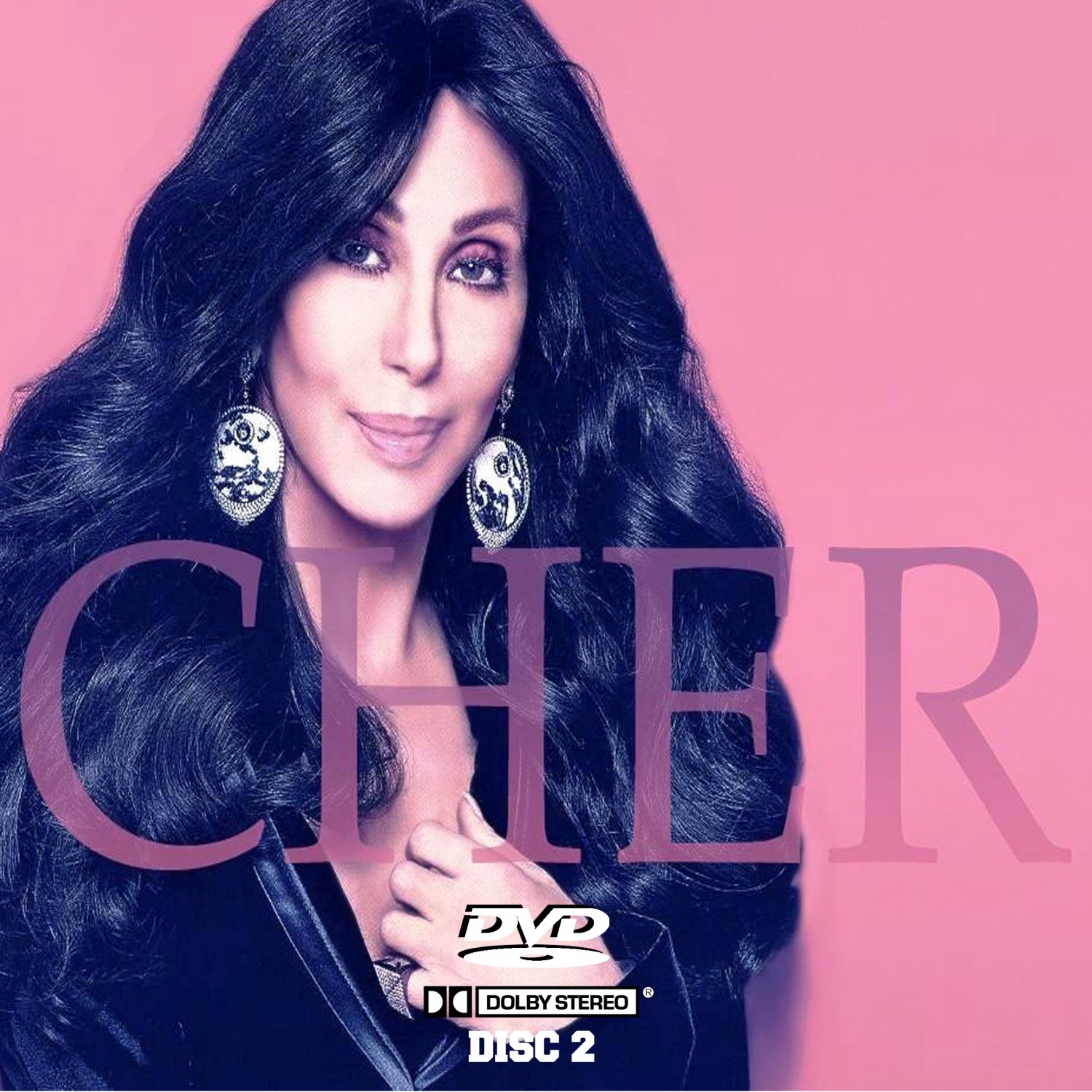 cher discography torrent