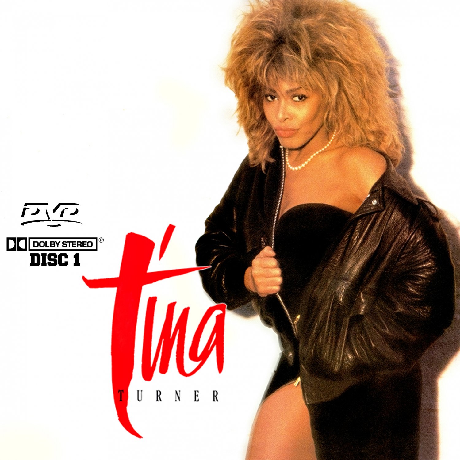 Tina Turner Music Videos Collection (2 DVD's) 52 Music Videos