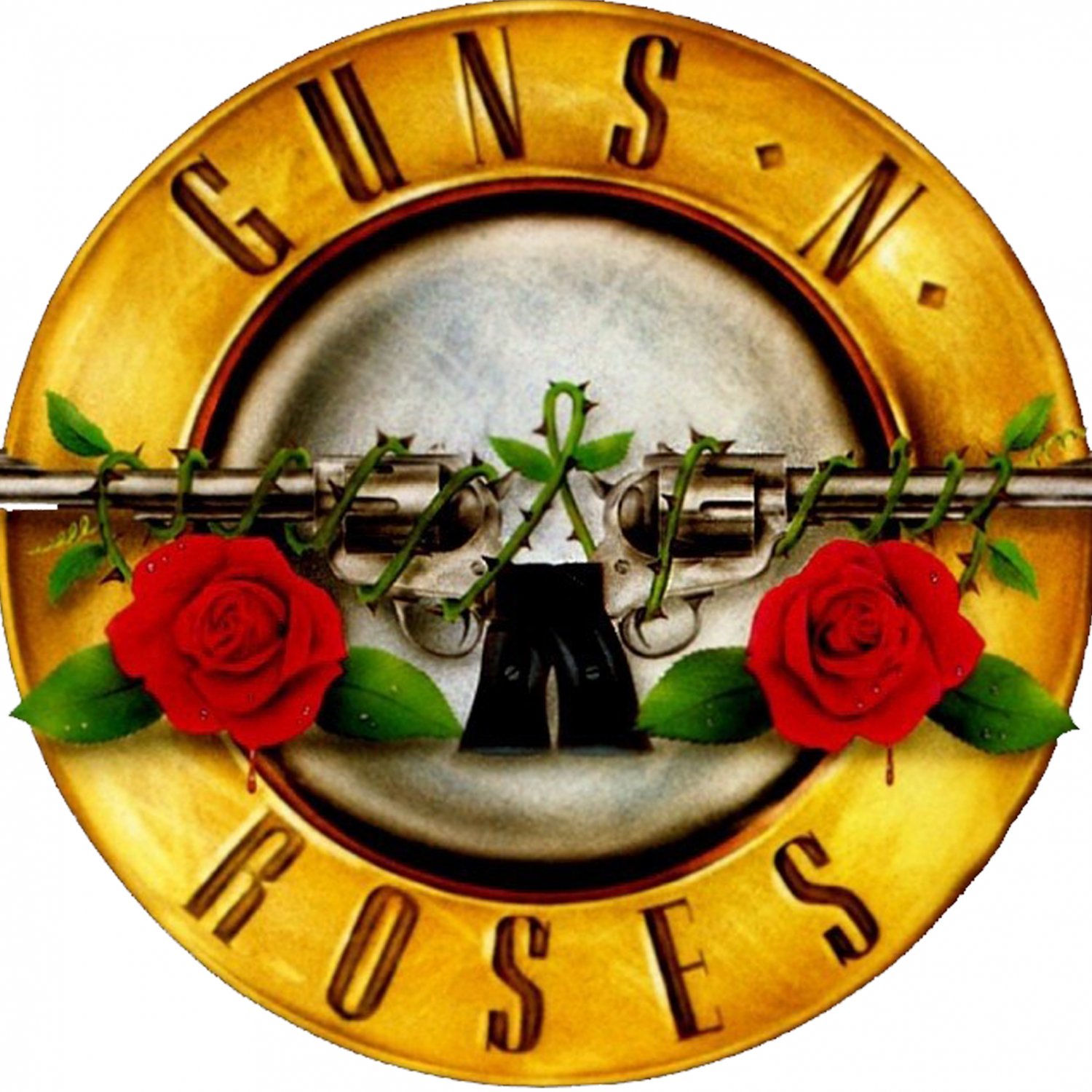 The Guns N Roses Music Video Archive (1 DVD) 24 Music Videos