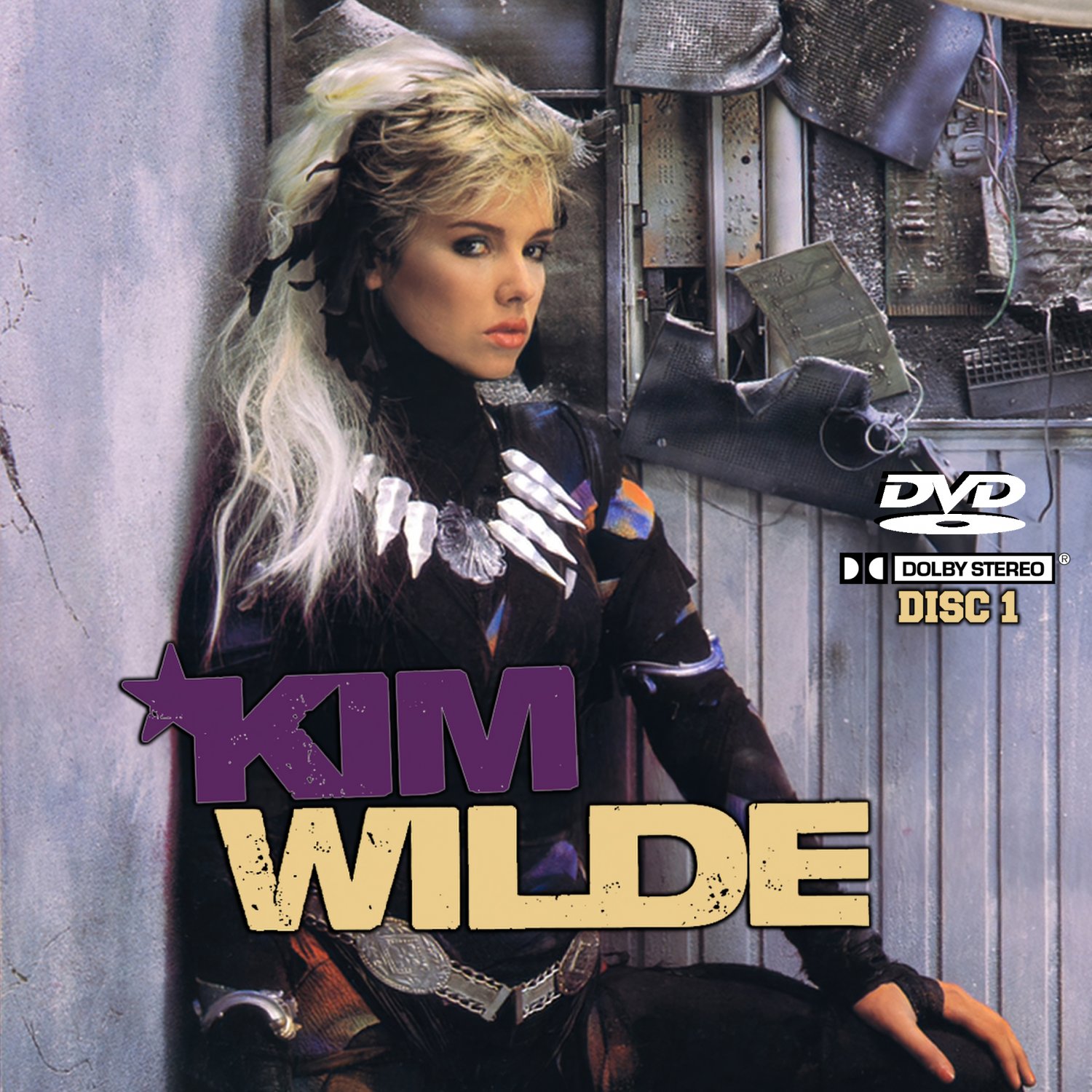 Kim Wilde Music Videos Collection (3 DVD's) 59 Music videos