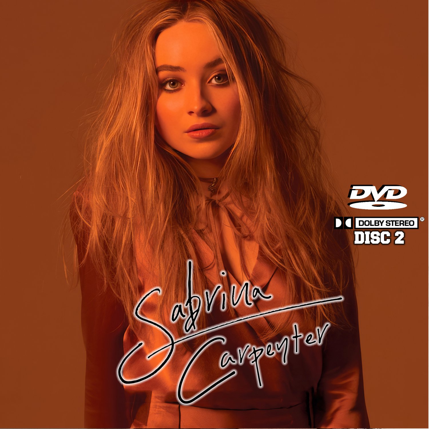 Sabrina Carpenter Music Videos Collection (2 DVD's) 39 Music Videos